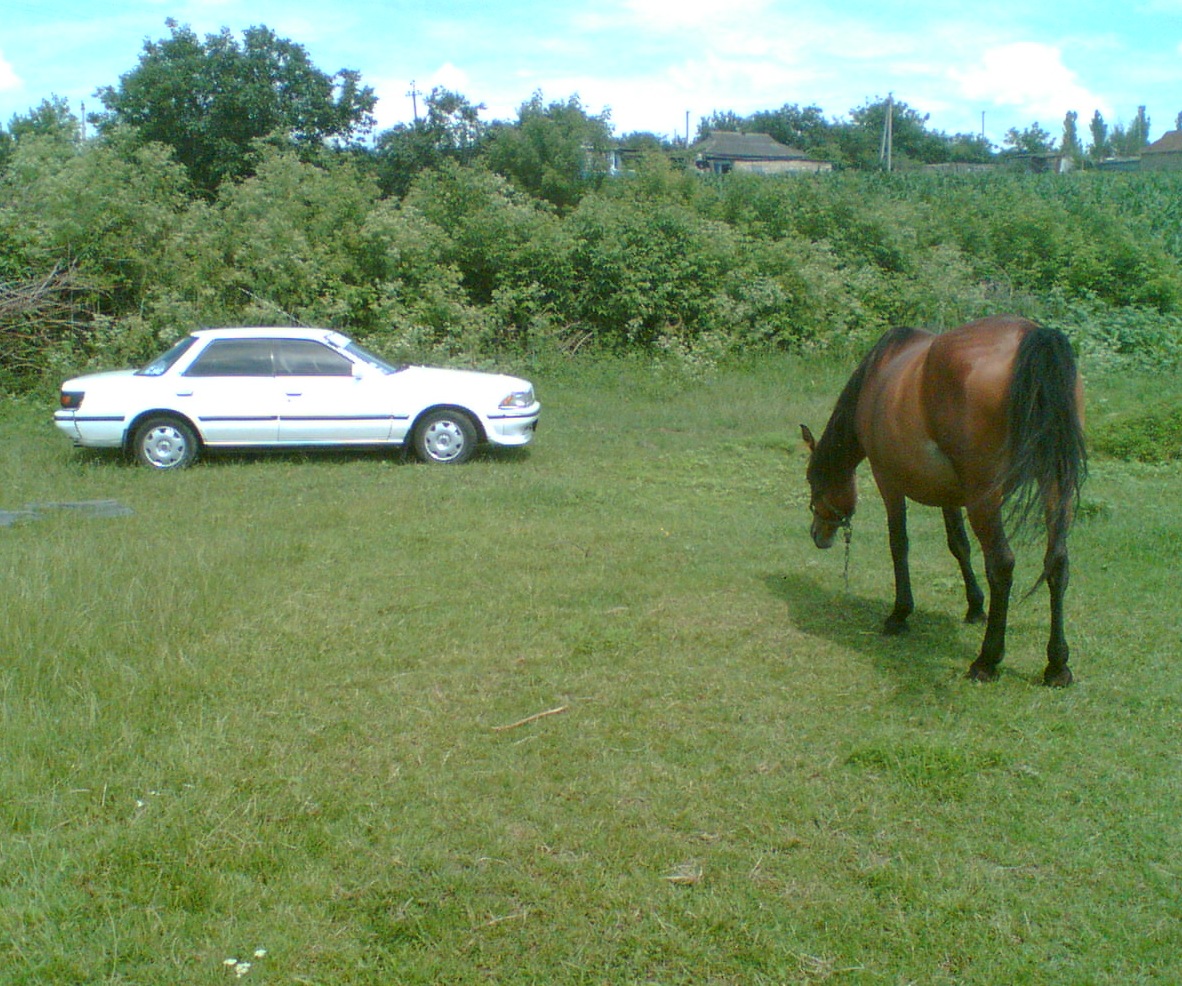 Запис, 29 червня 2010 3