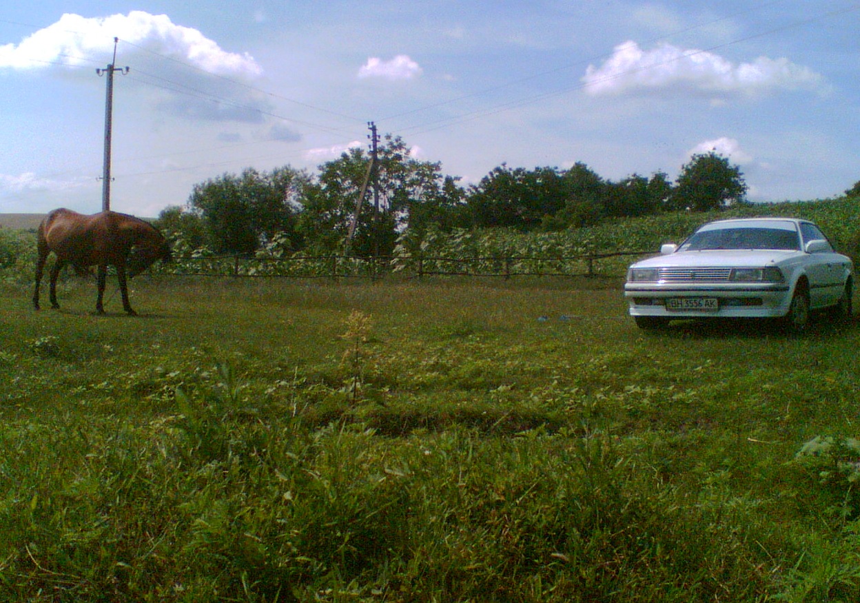 Запис, 29 червня 2010 1