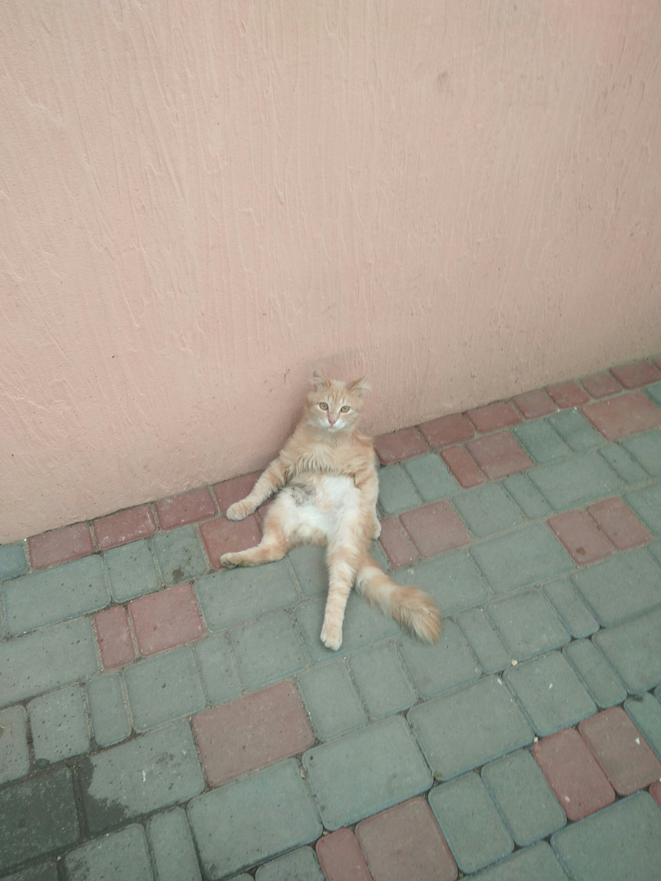 фартух продовження 1