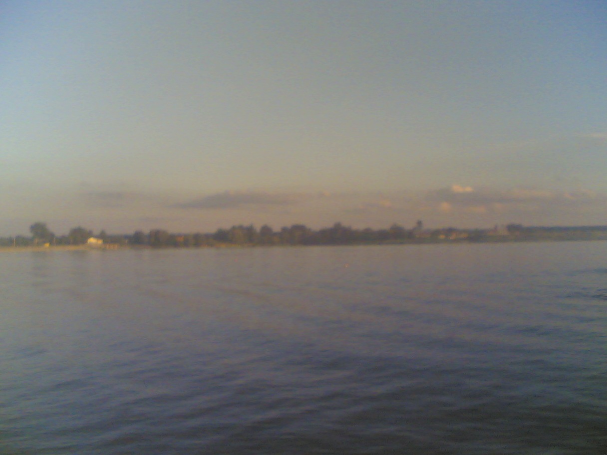 сумно. помер бичок 1