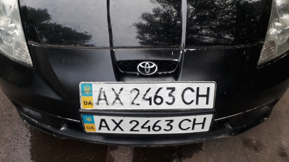 Спястя рік))) 1