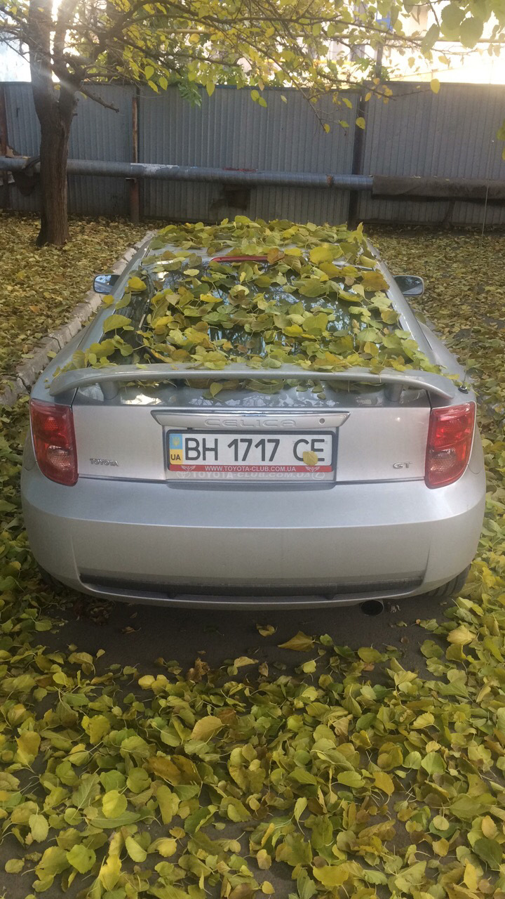 Нічого не відбувається 1