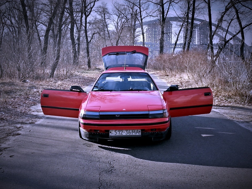 Фото Селіки) 2