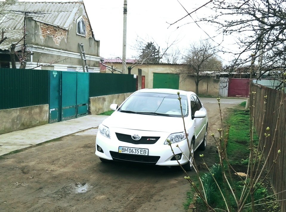 Пофарбував бампера... 1