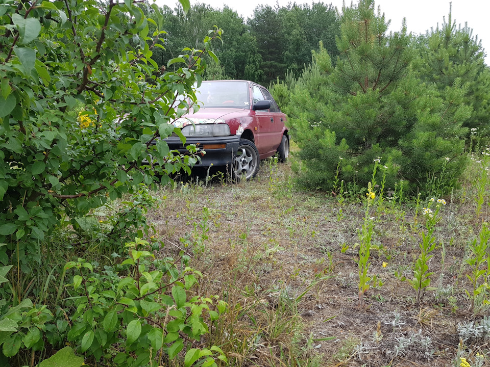 Заміна OIL 1