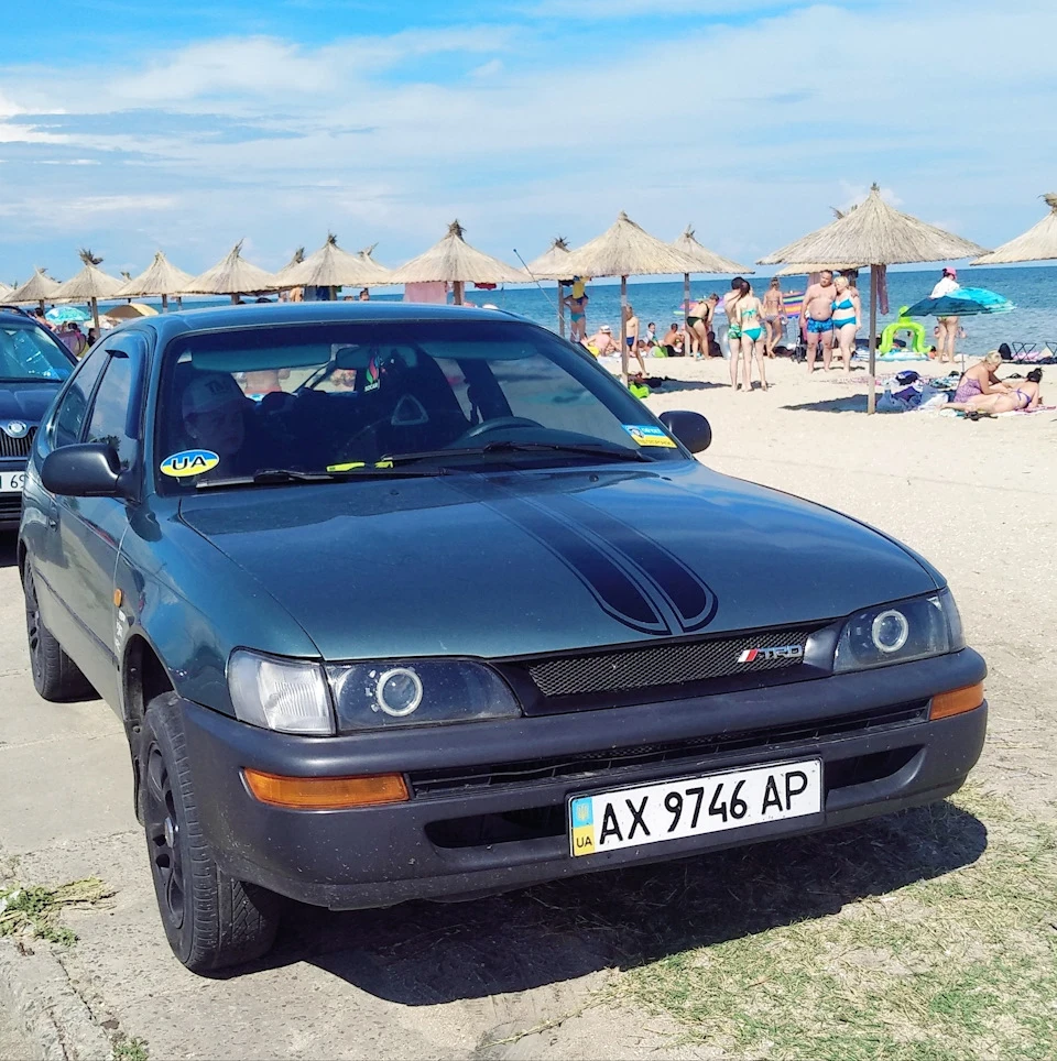 Море 2018