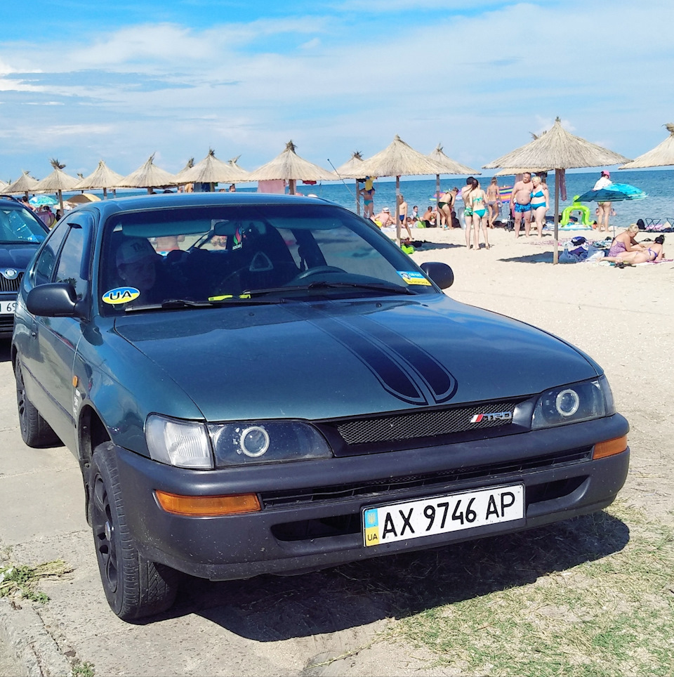 Море 2018 1