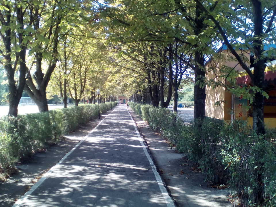 48. Батьківський день 5