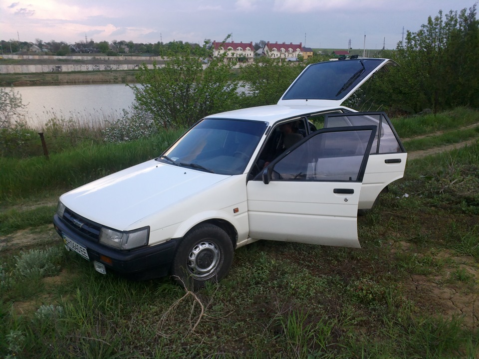 Просто фото 5
