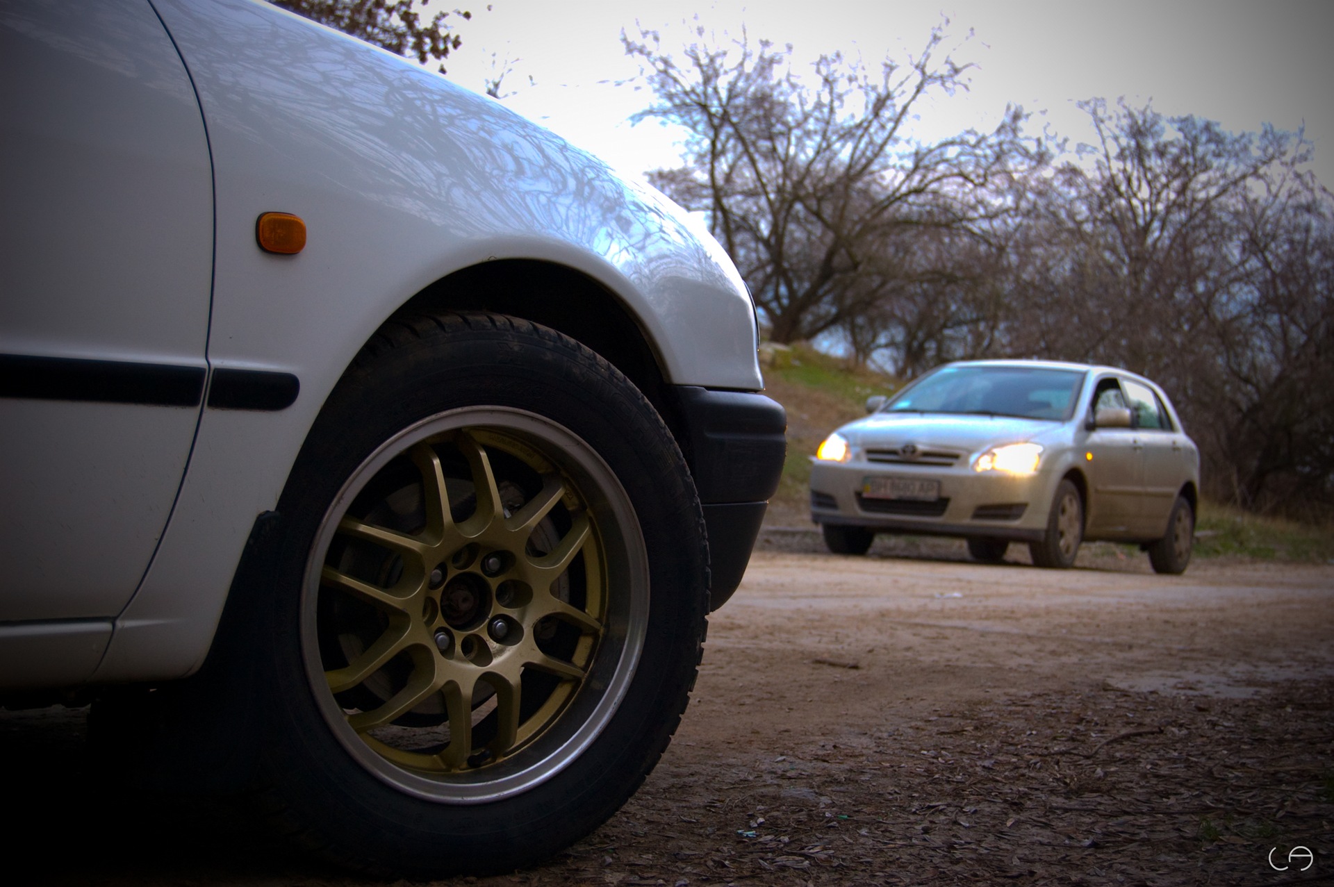 Фотосет Corolla + Work 4