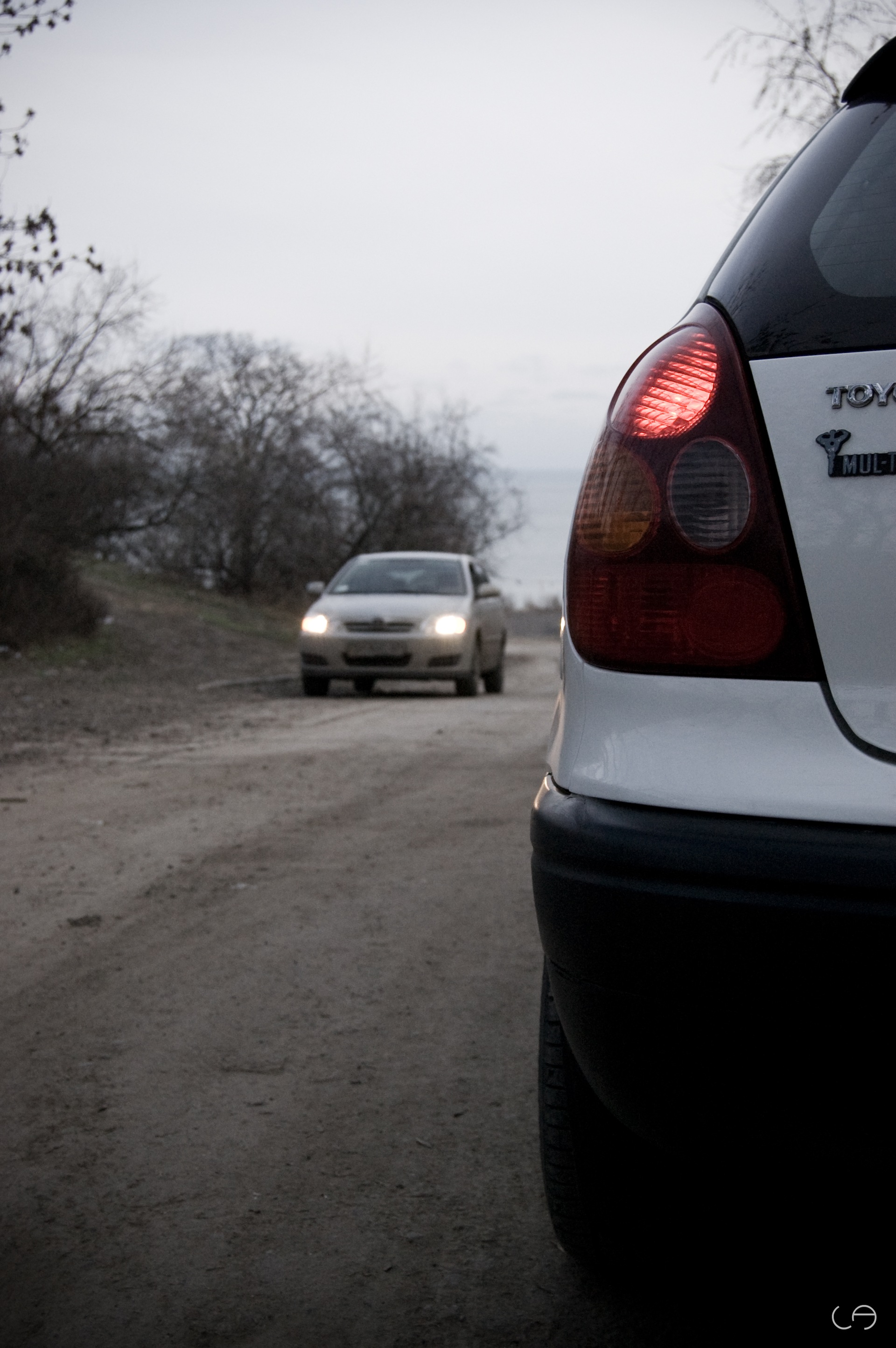 Фотосет Corolla + Work 5