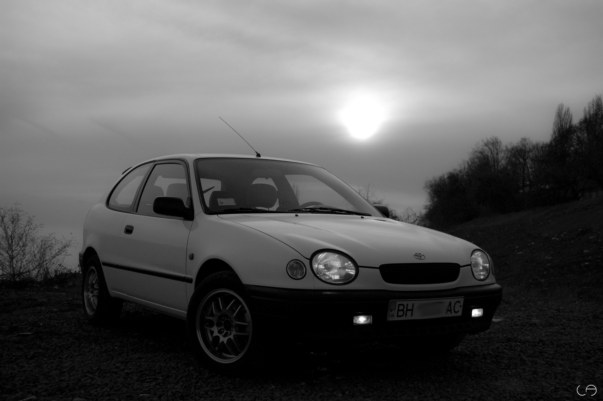 Фотосет Corolla + Work 2