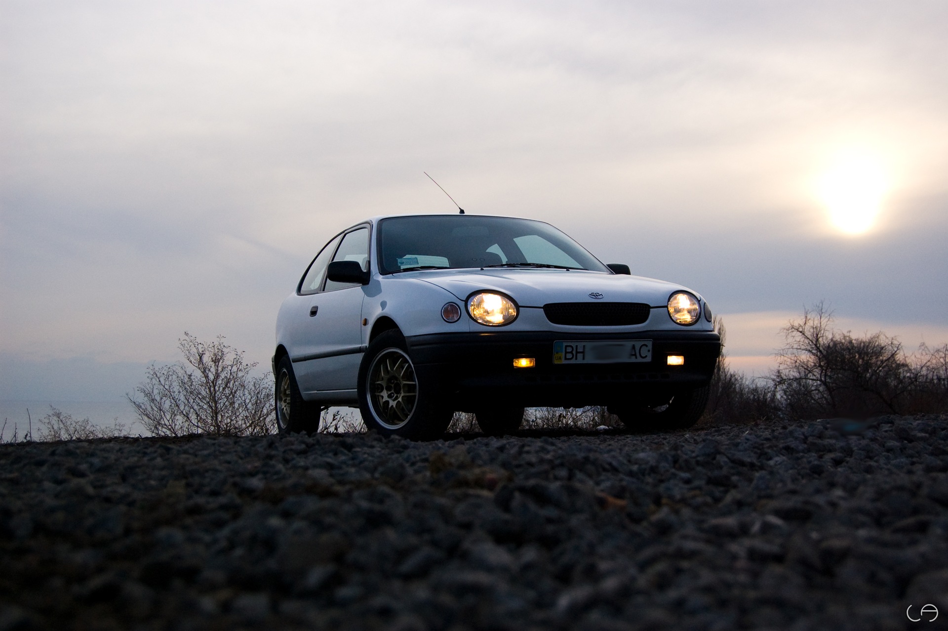 Фотосет Corolla + Work 3