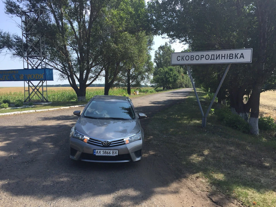 Покотушки вихідного дня
