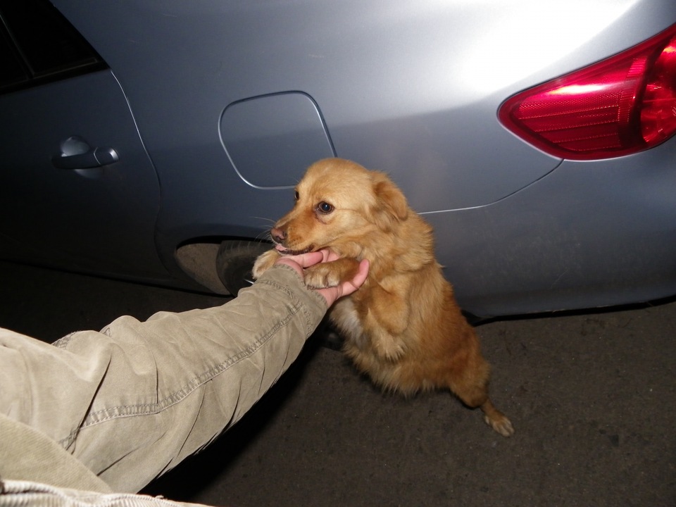 Фото біля мого офісу 5