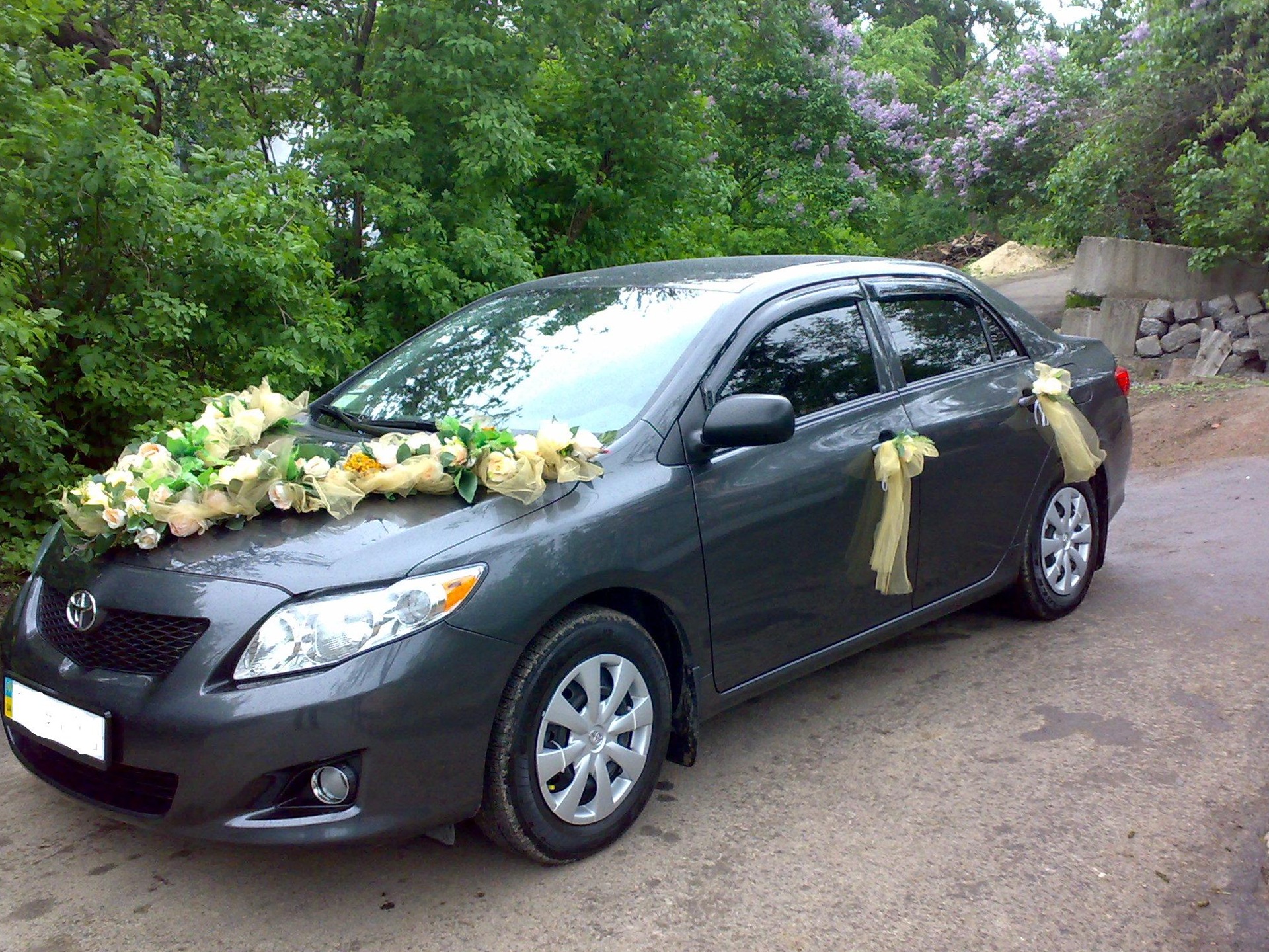 Запис, 17 травня 2010 3