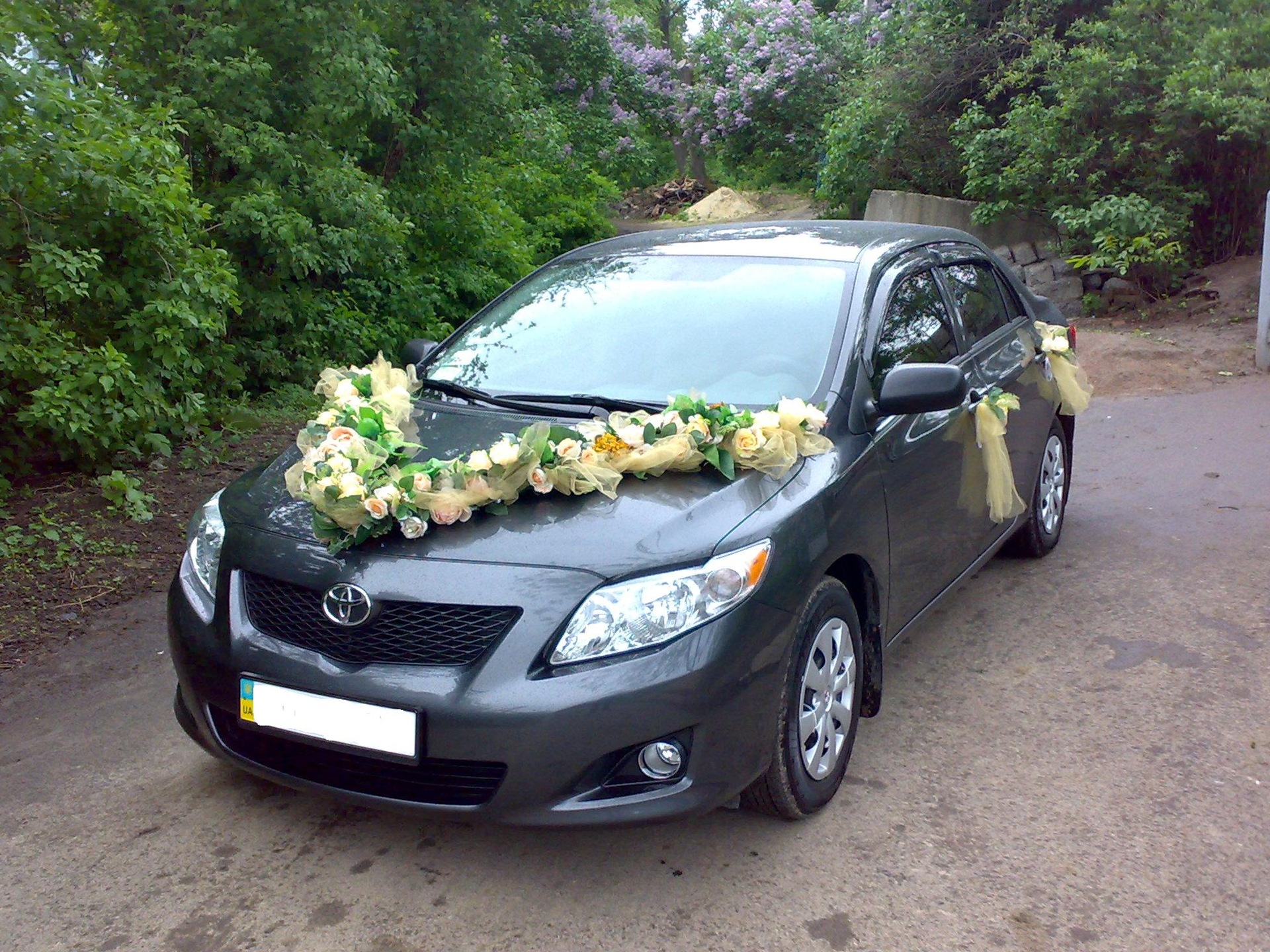 Запис, 17 травня 2010 1