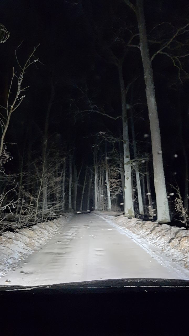 Анонс: LED балка ProLight 5d 2