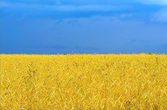 Вітаю з Днем Незалежності України! 2