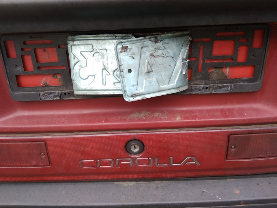 Неадекватність пішоходів зашкалює. 1