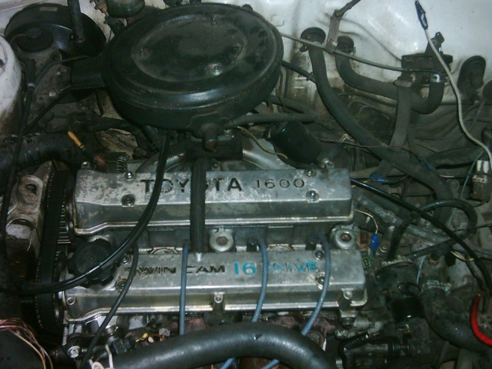 Запис, 8 січня 2010 1