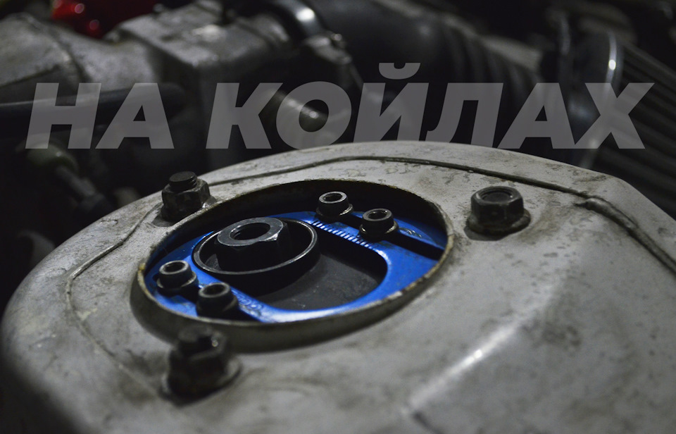 Карина на КОЙЛАХ тепер 1