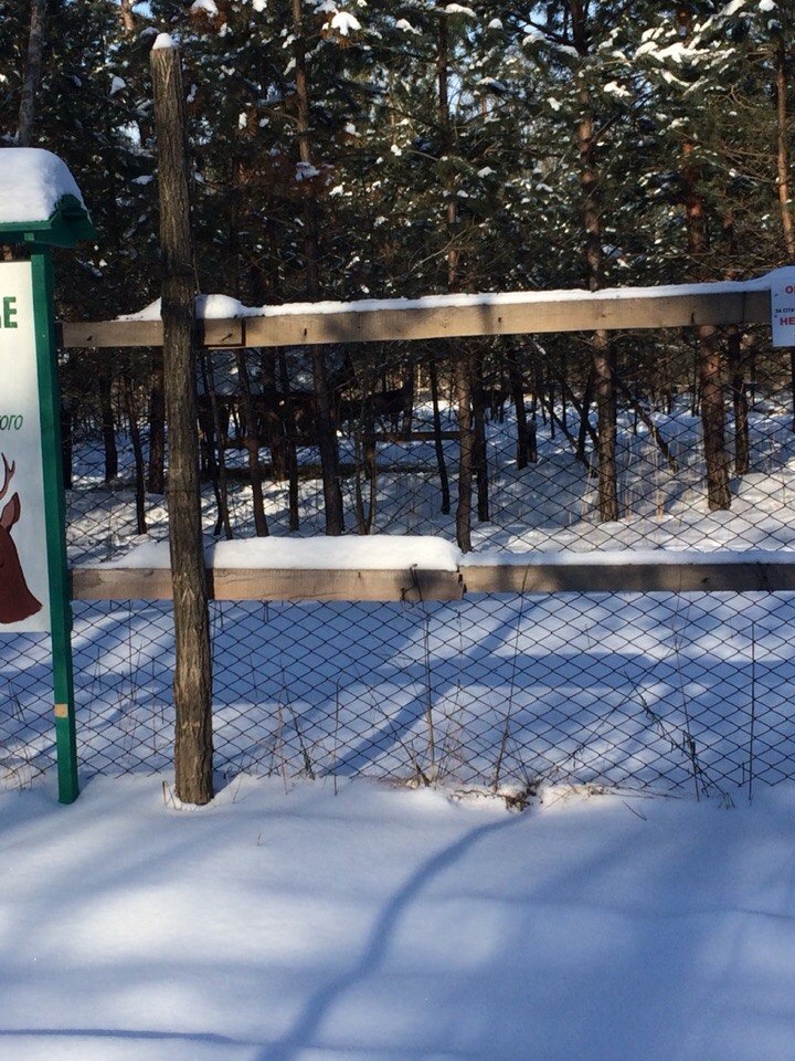 Не можу дочекатися вже =( 1