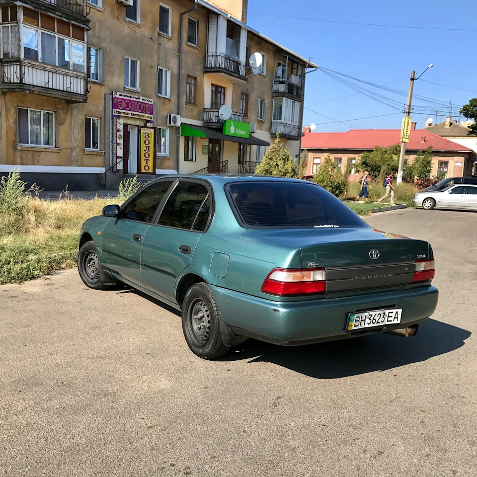 Такого ще в мене не було на Мийці