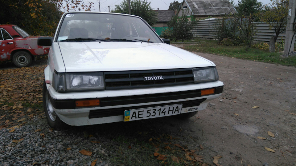 Позбавлення гнили 1