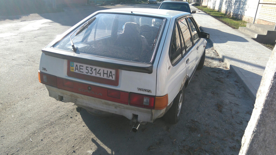 Позбавлення гнили 5