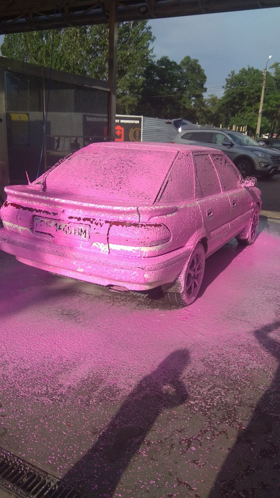 #pinkbelka 1