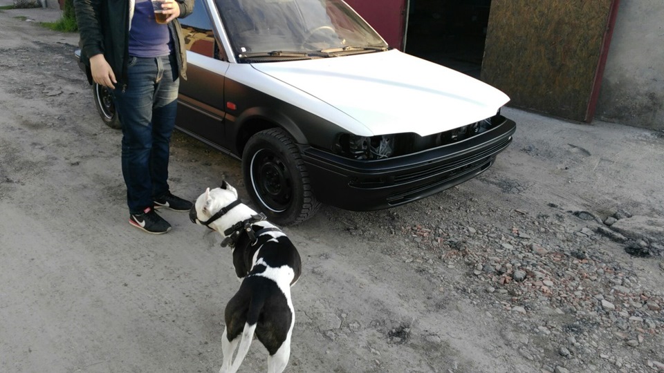 З Ірану 1