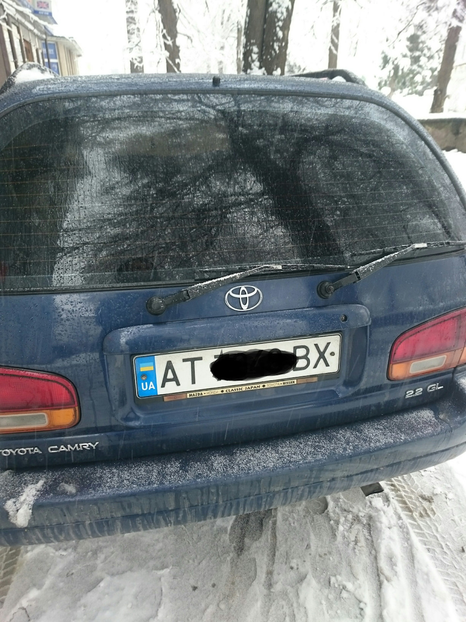 Дві щітки?! (Але не мої) 1