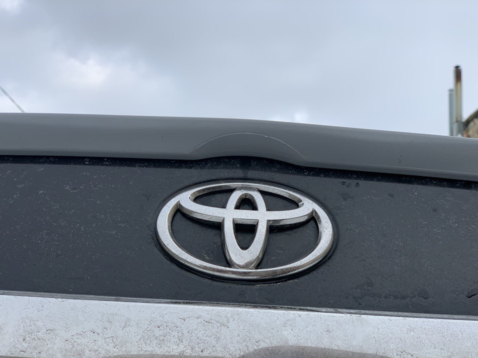 качиний хвостик toyota corolla🦆 1