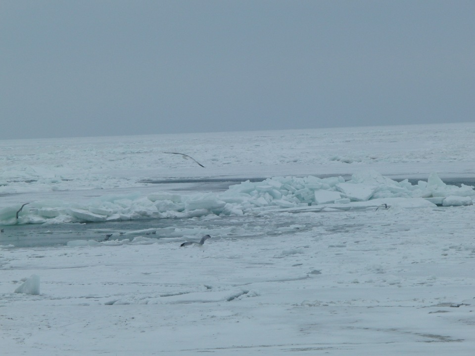 Крижане зимове море в Одесі 2012 2