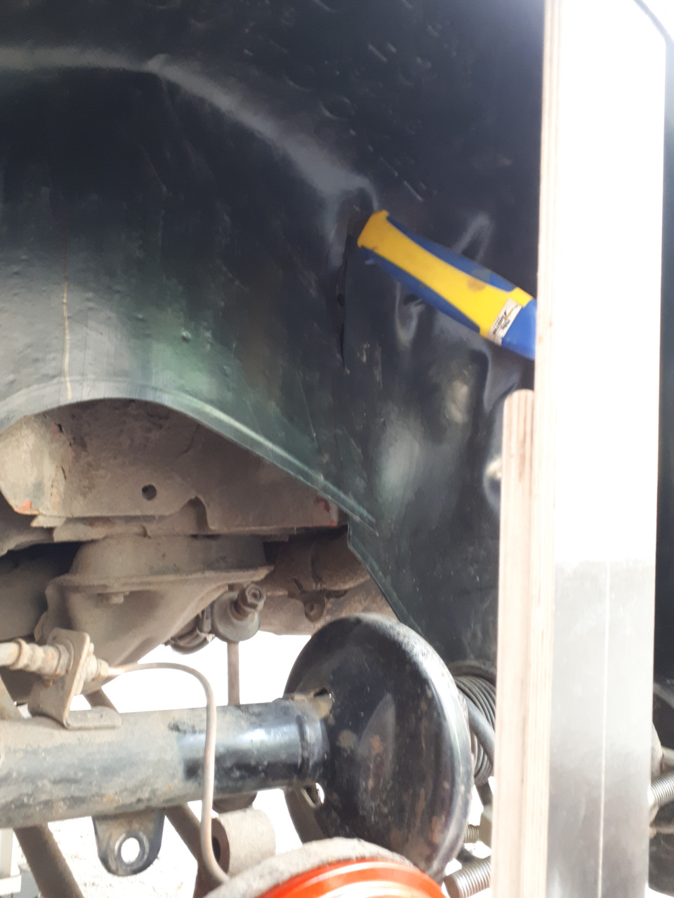 крильця підкрилки 3
