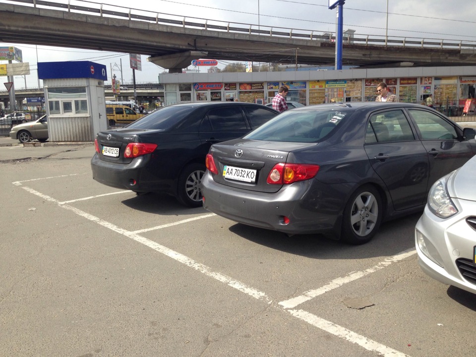 Tein або Eibach pro-kit 2