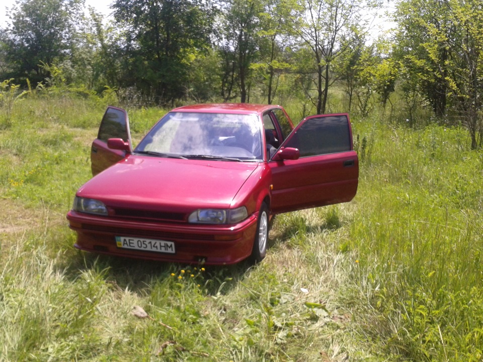 На сіножаті =) 4