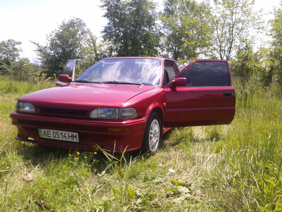 На сіножаті =) 5