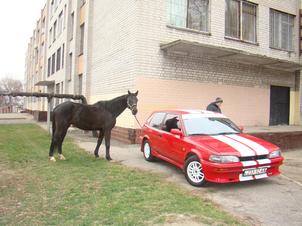 Тепер у нас у сім'ї 116 кінських сил =) 1