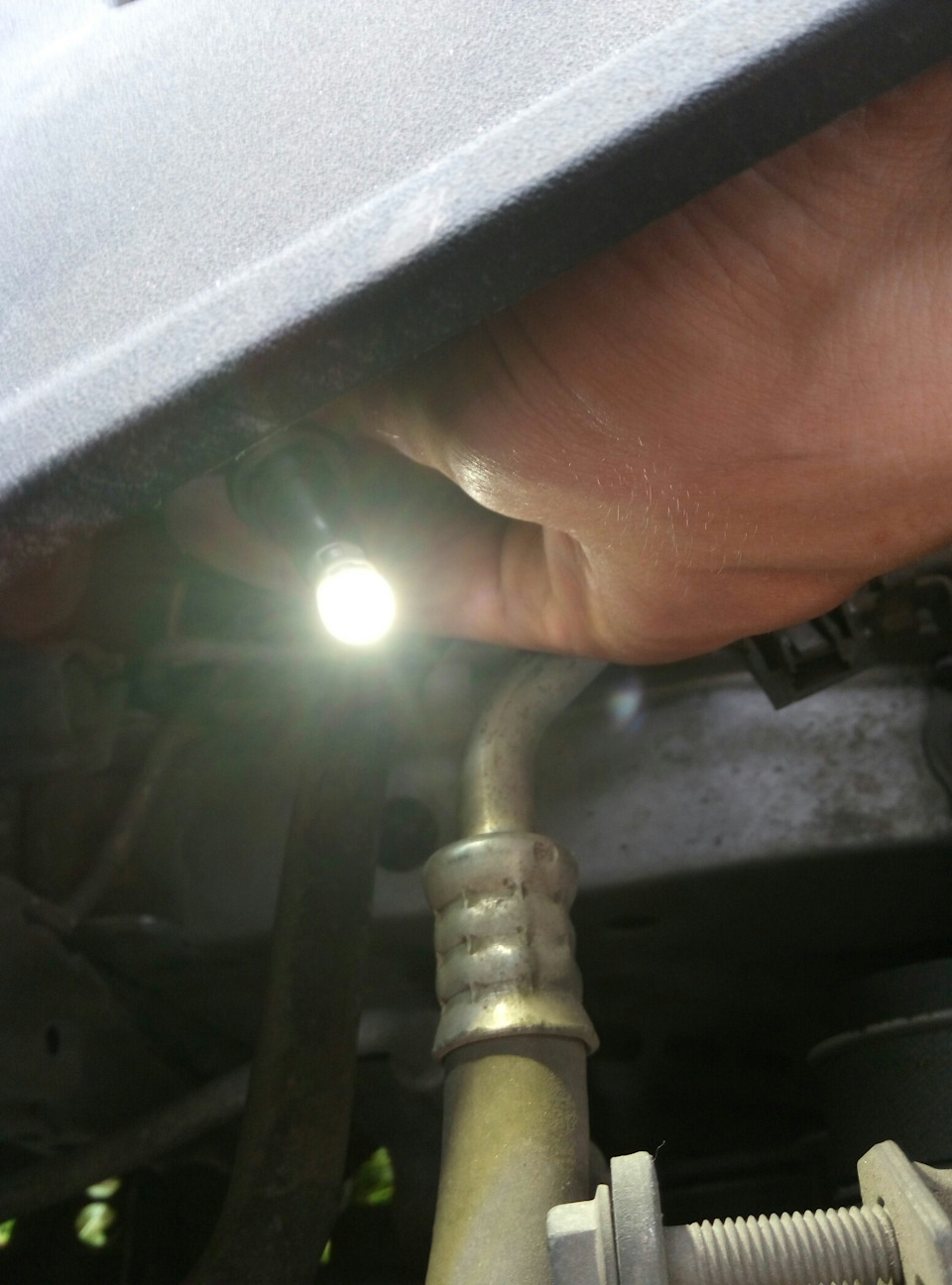 Osram 5w5 габарити 3