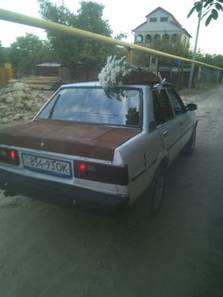 Довгобуд, не треба так! 4