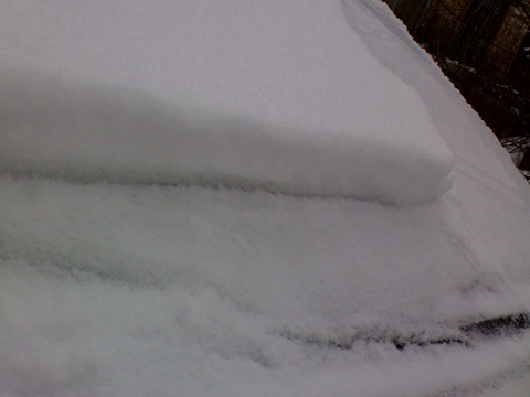 My Frozen Corolla 5