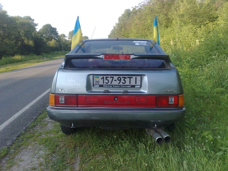 сітка під номер 4