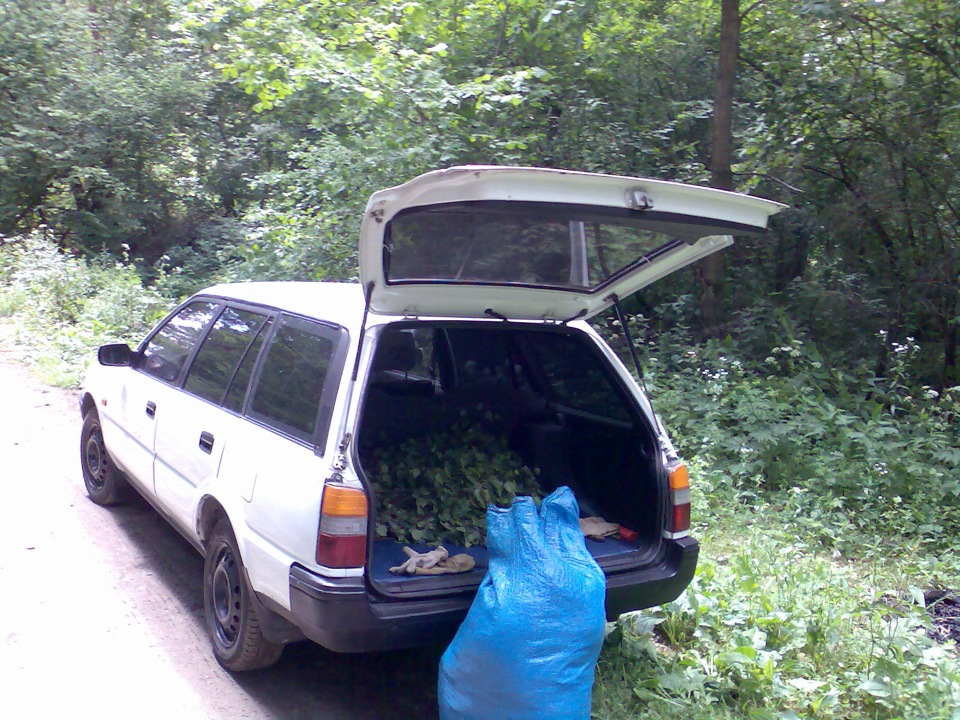 3. TOYOTA Corolla це надійна машина 3