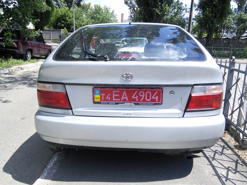 Продав черепаху 3