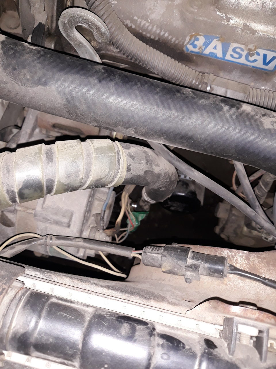 Кондей)))) зробив! 5