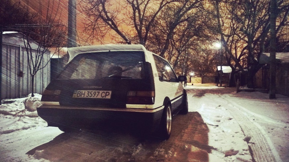 winter hibernation 4
