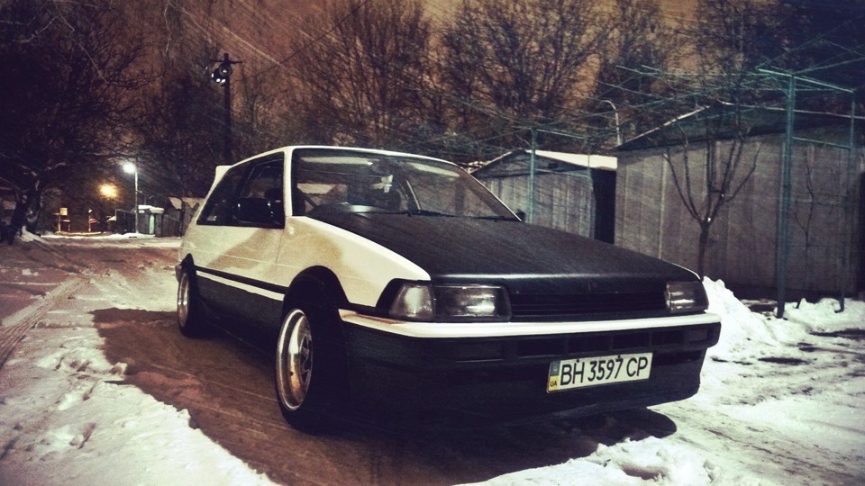 winter hibernation 3