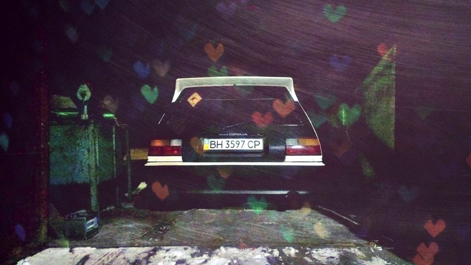 winter hibernation 1